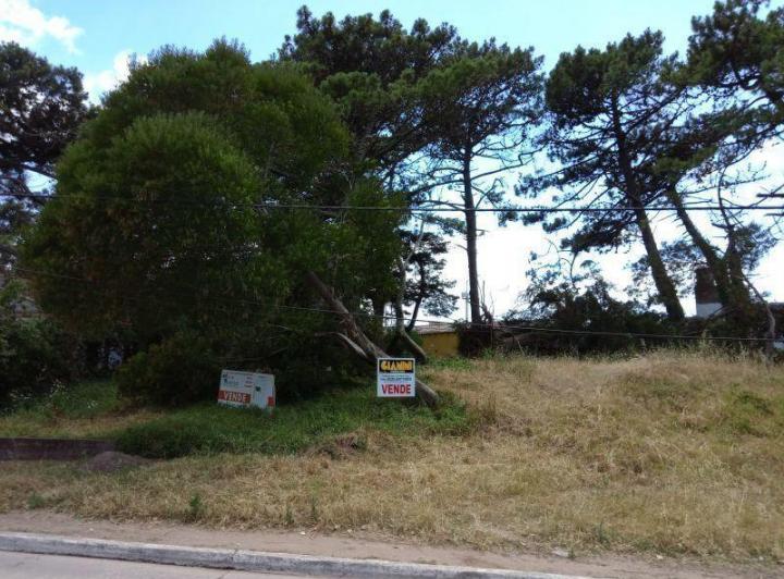 Terreno · 632m²