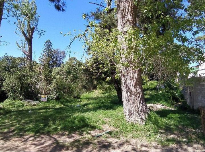 Terreno · 985m²
