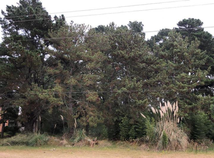 Terreno · 750m²
