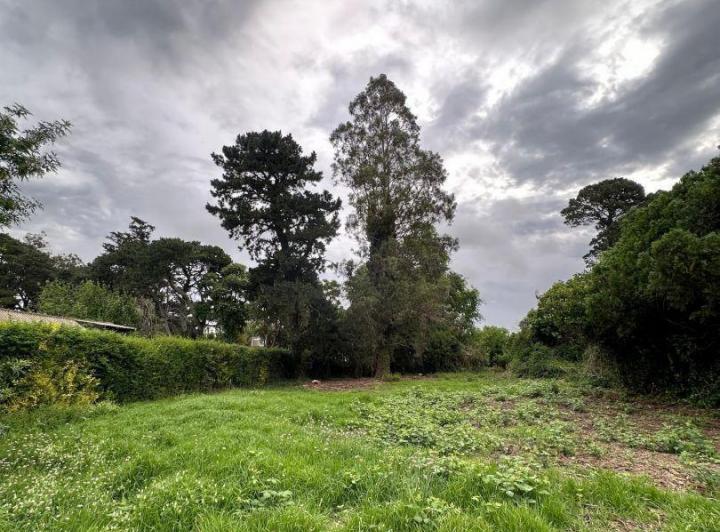 Terreno · 713m²