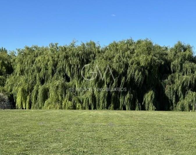Terreno · 1667m²