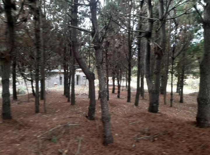 Terreno · 1000m²
