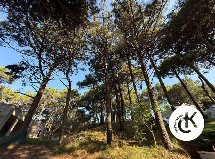 Terreno · 1093m²