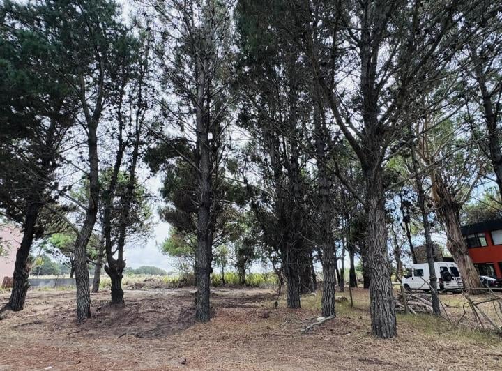 Terreno · 542m²
