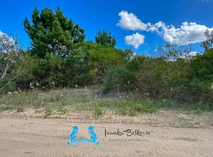 Terreno · 1000m²