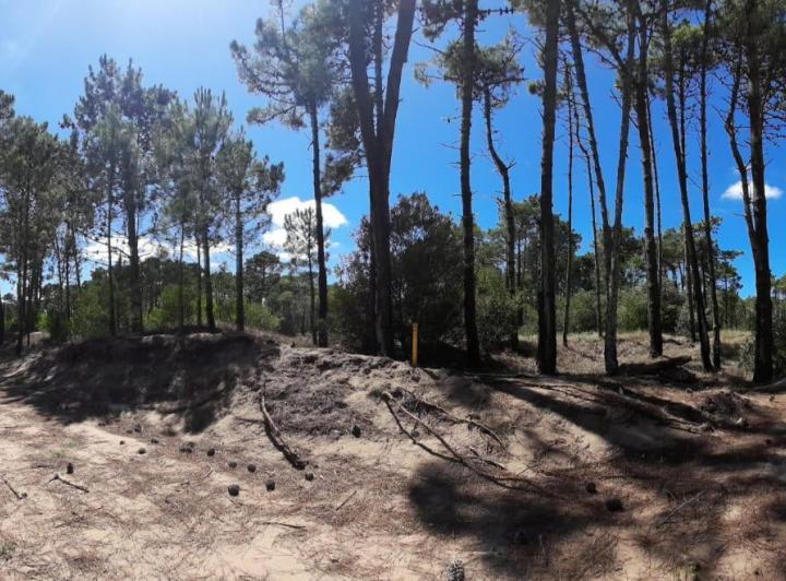 Terreno · 1040m²