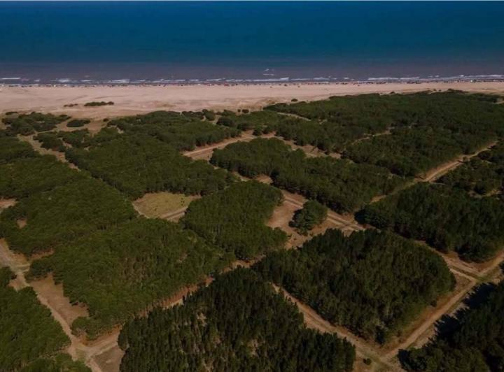 Terreno · 500m²