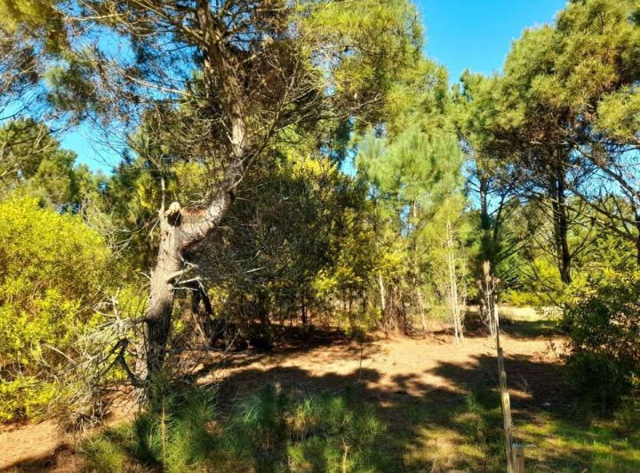 Terreno · 2000m²