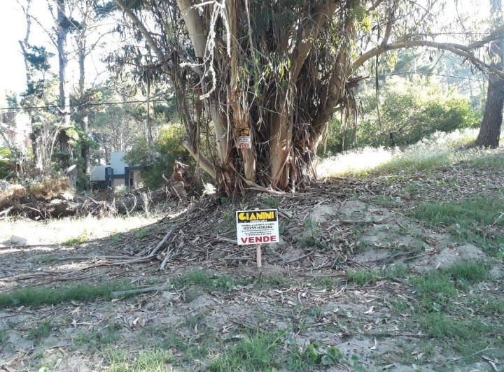 Terreno · 675m²