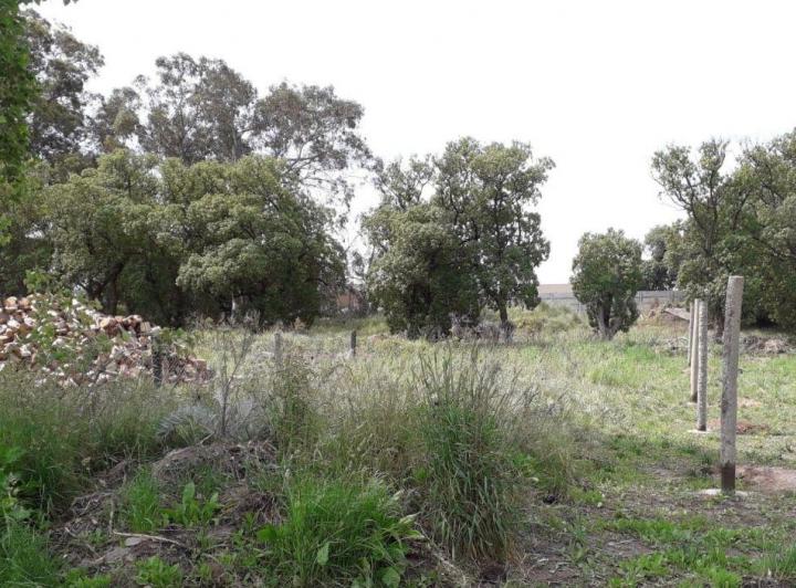 Terreno · 400m²