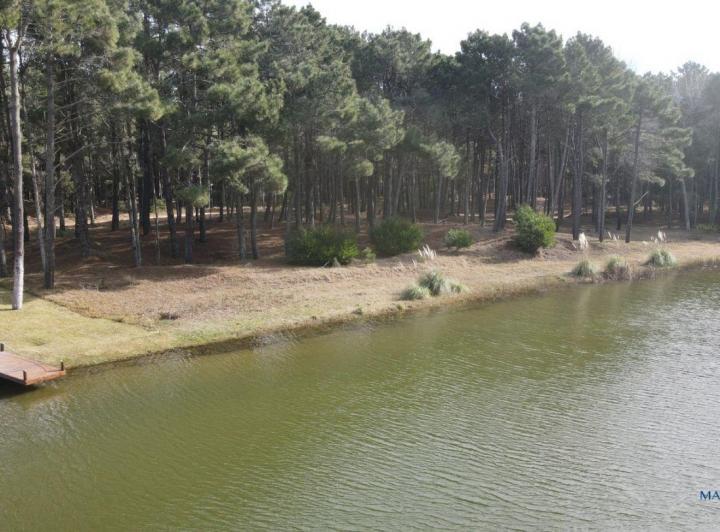 Terreno · 1000m²