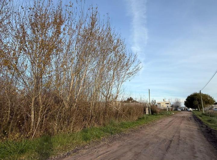Terreno · 1000m²