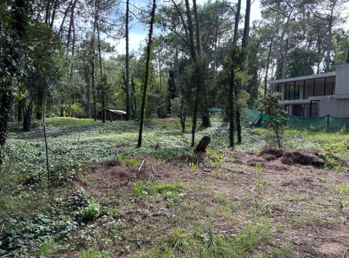 Terreno · 1030m²