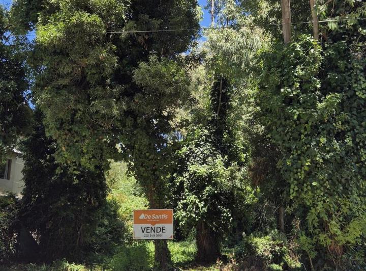 Terreno · 450m²