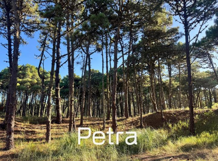 Terreno · 1096m²