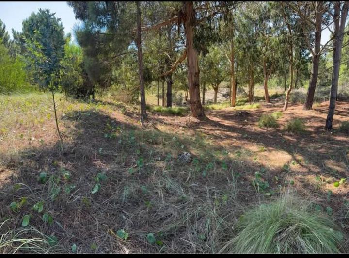 Terreno · 924m²
