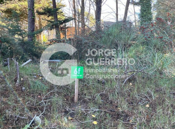 Terreno · 1291m²