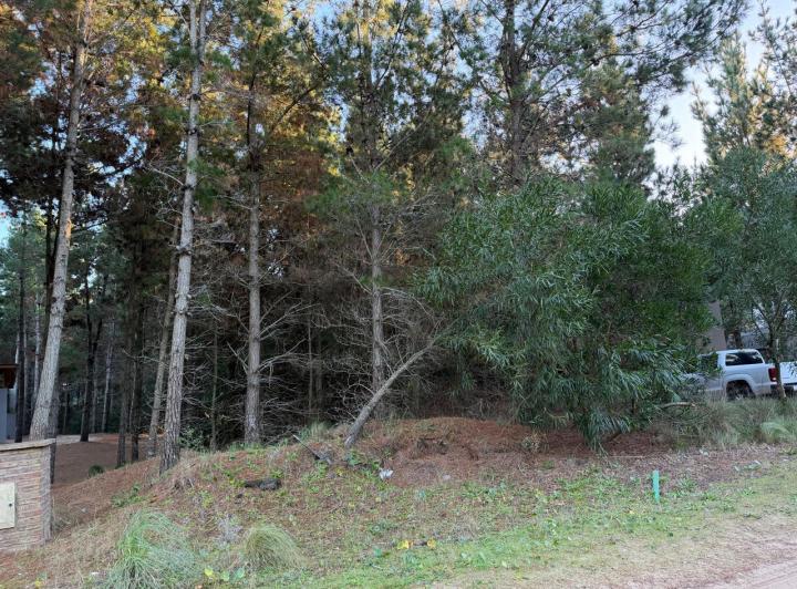 Terreno · 976m²