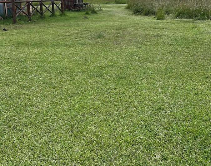 Terreno · 45851m²