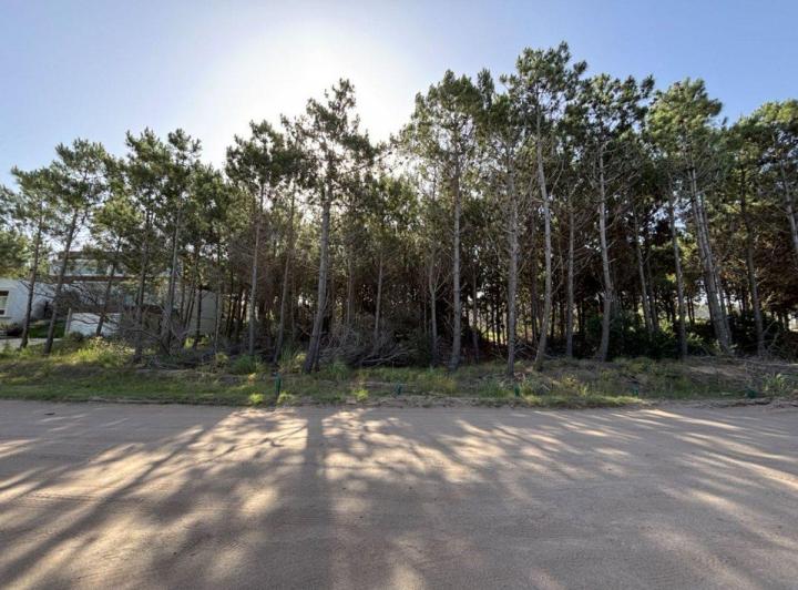Terreno · 919m²