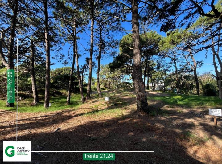 Terreno · 896m²