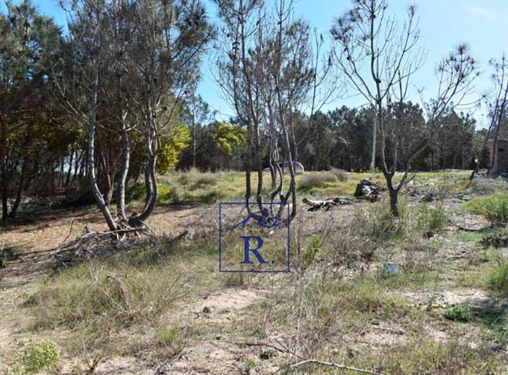 Terreno · 111m²