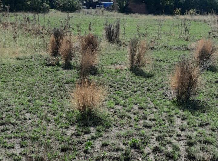 Terreno · 1000m²