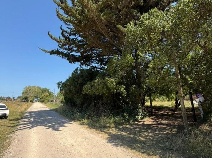 Terreno · 30m²