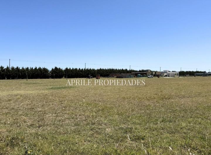 Terreno · 700m²