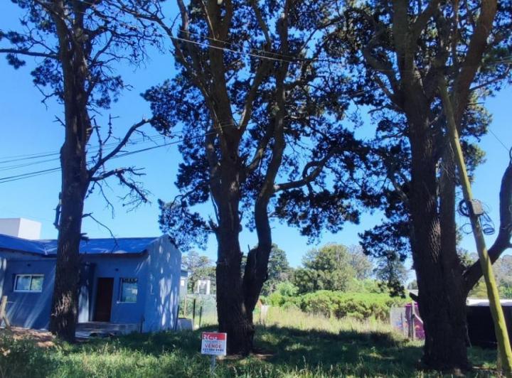 Terreno · 288m²