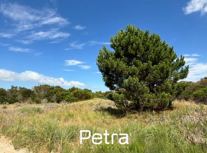 Terreno · 1148m²