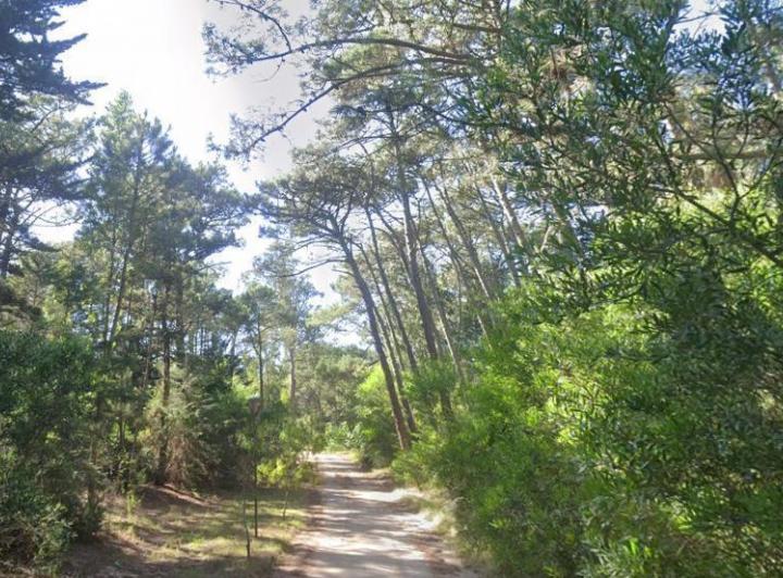 Terreno · 1330m²