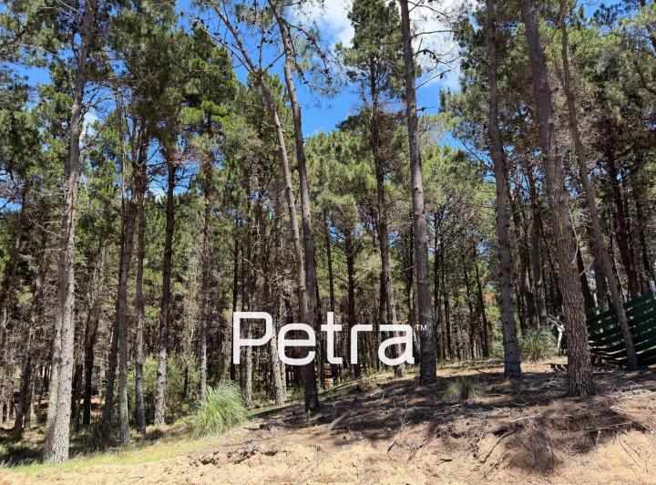 Terreno · 970m²