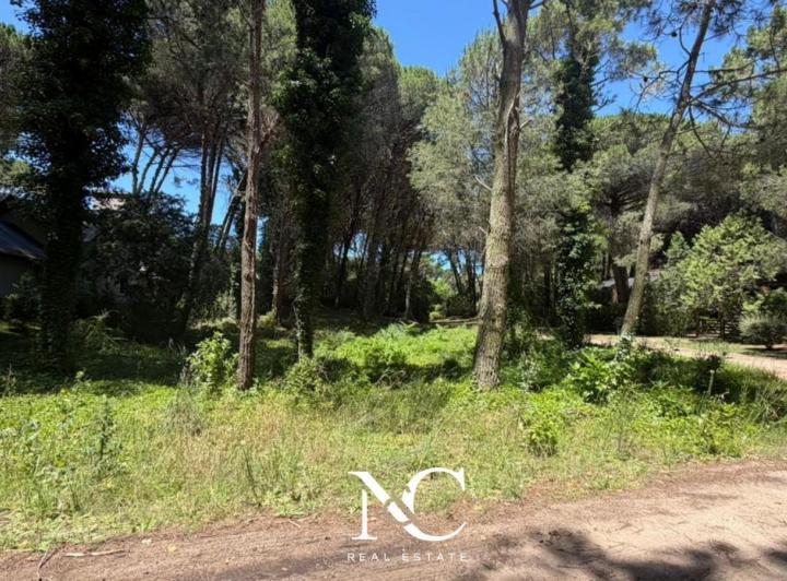 Terreno · 923m²