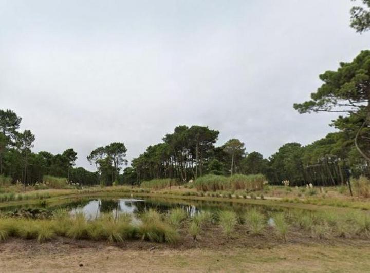 Terreno · 1152m²