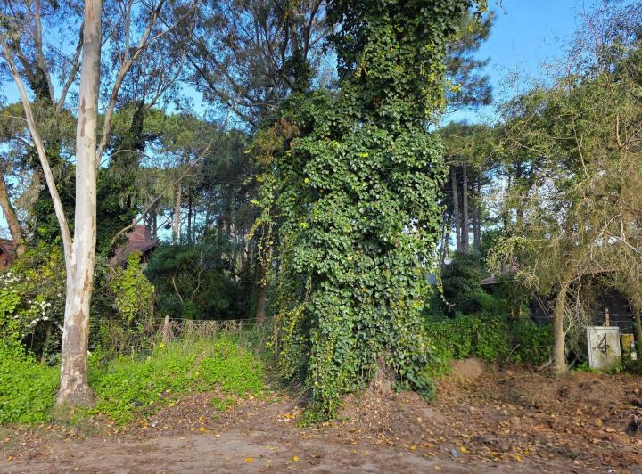 Terreno · 441m²