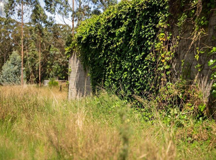 Terreno · 311m²