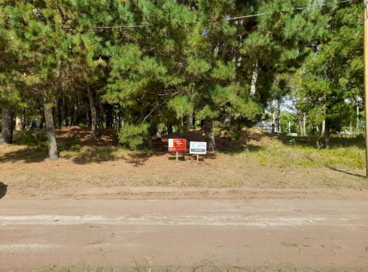 Terreno · 1000m²