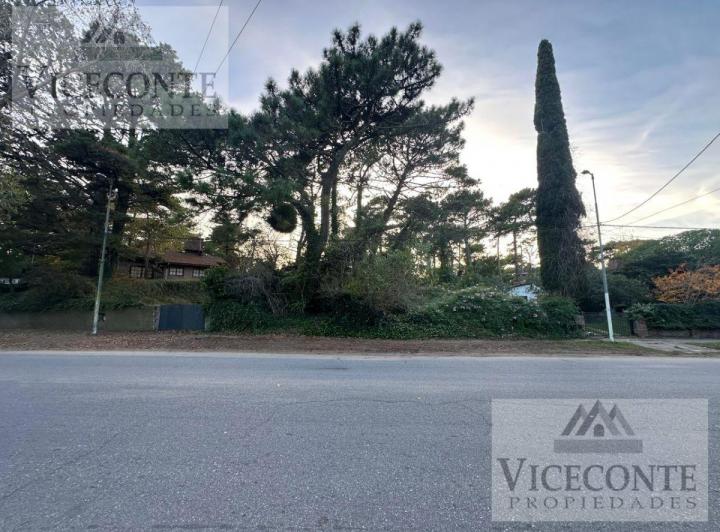 Terreno · 1231m²