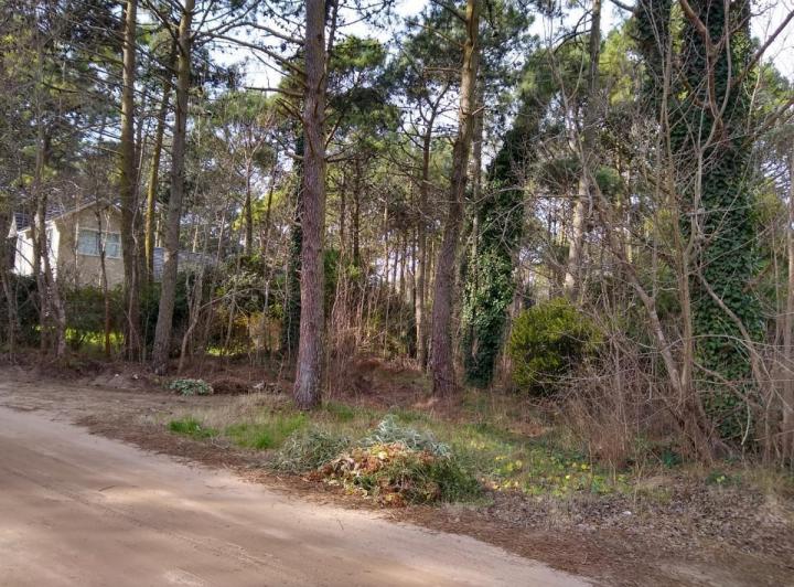 Terreno · 1092m²
