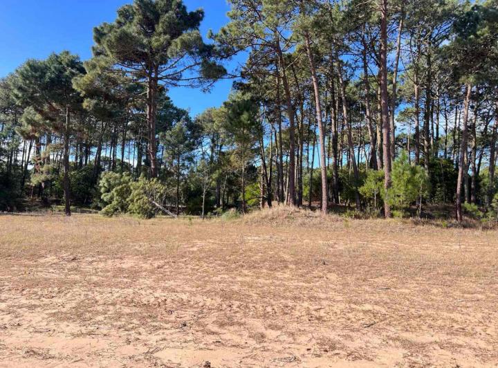 Terreno · 1079m²