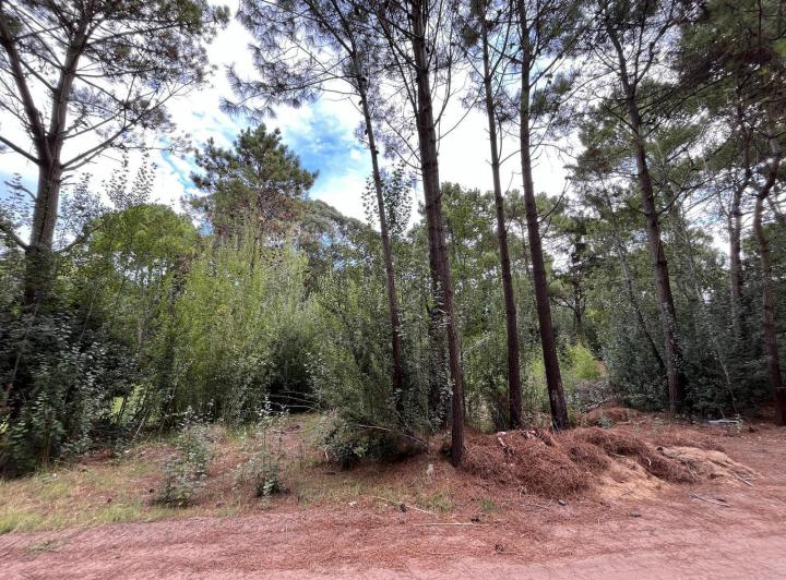 Terreno · 1000m²