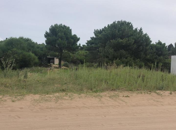 Terreno · 800m²