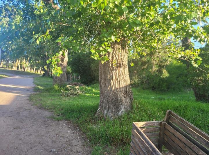 Terreno · 11m²