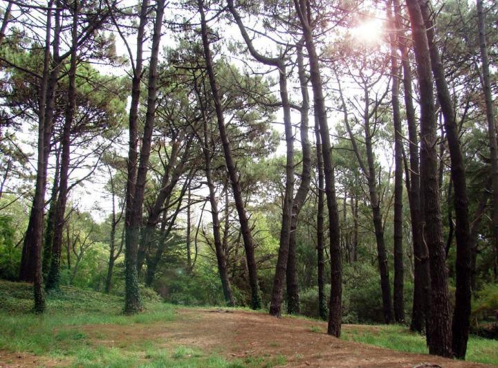 Terreno · 769m²