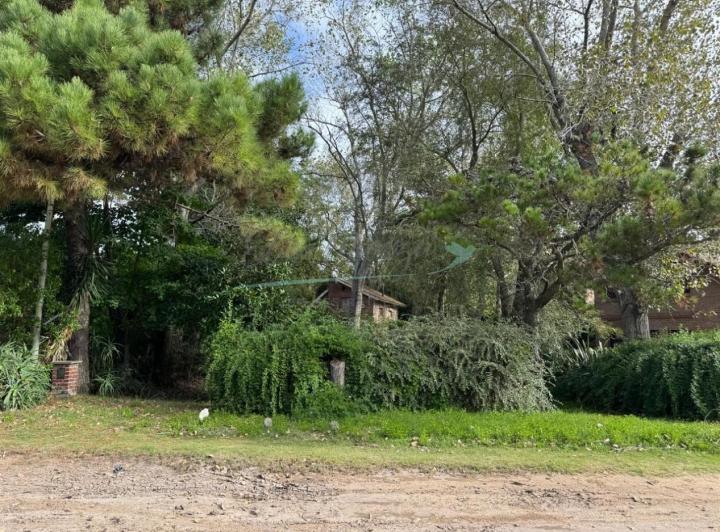 Terreno · 120m²
