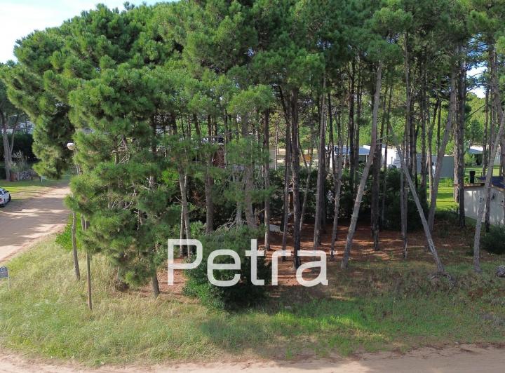 Terreno · 663m²