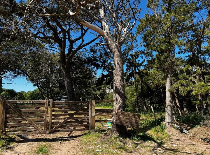 Terreno · 475m²