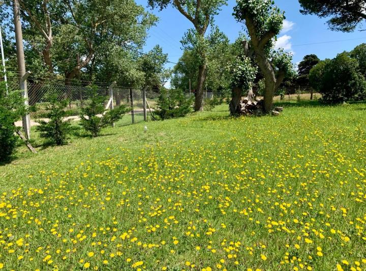 Terreno · 300m²