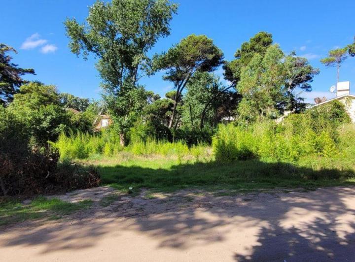 Terreno · 787m²